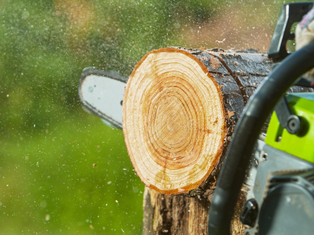 Mẹo dùng máy cưa tiết kiệm xăng